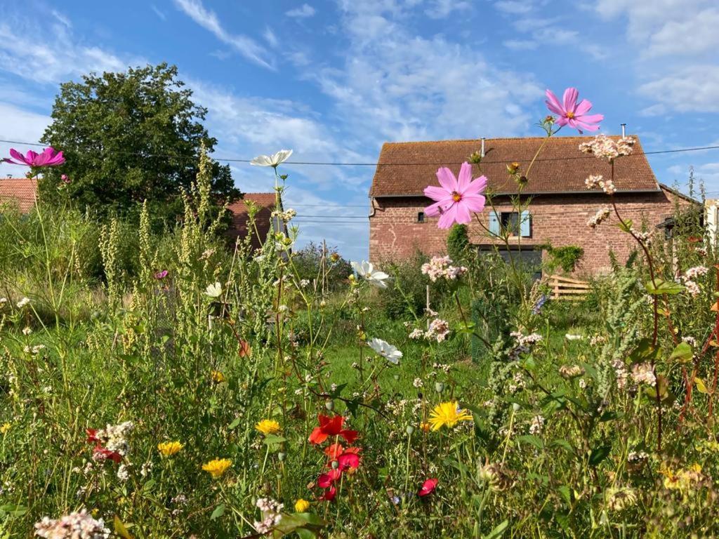 La Grange De Bois De Chene Apartman Phalsbourg Kültér fotó